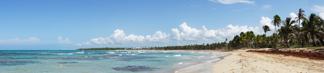 Fototapeta na wymiar Panoramabild eines Palmenstrandes
