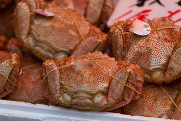 krebse auf dem fischmarkt