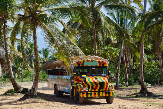 Safaribus in der Karibik