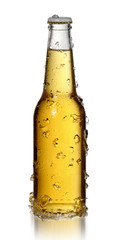 Bottle of Cold Beer