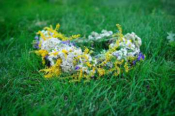 Beautiful bouquet of wild flowers on meadow