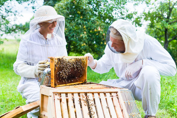 Imker mit Smoker kontrolliert Bienenstock und Wabenrahmen