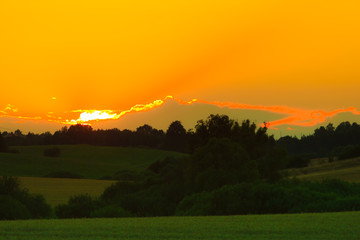 Fototapeta premium Beautiful sunset on a spring field