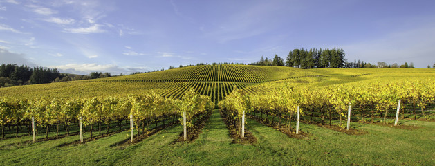 Agriculture and Fall Colors of Oregon