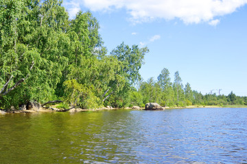 The shore of the lake.