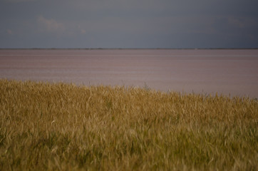 Tuz Golu (Salt Lake),  Central Anatolia Region,Turkey