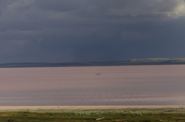Tuz Golu (Salt Lake),  Central Anatolia Region,Turkey