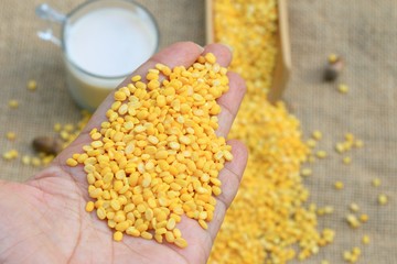 soybean seed with soy milk