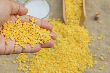 soybean seed with soy milk