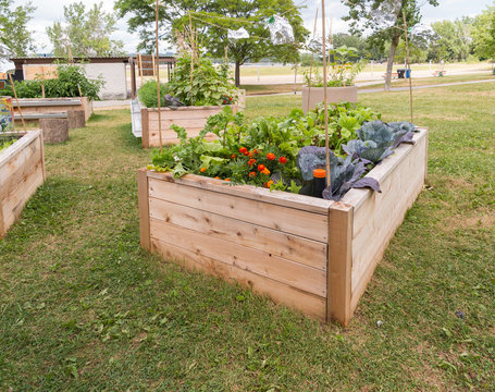 Raised beds in Community Garden