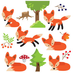 Fox vector illustration