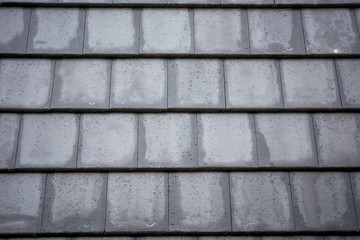The newly designed roof tiles