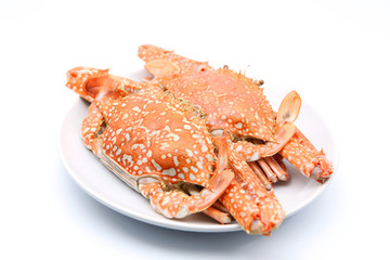 steamed crap on white background