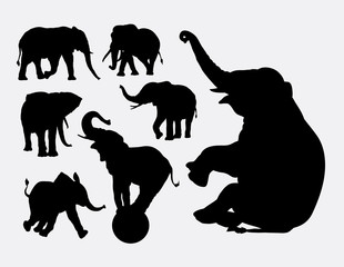 Fototapeta premium Elephant animal silhouettes