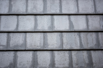 The newly designed roof tiles
