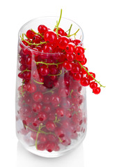 Fresh red currants in glass isolated on white