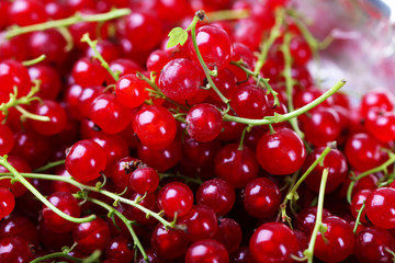 Heap of fresh red currants close up