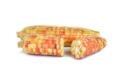 Boiled corn on white background
