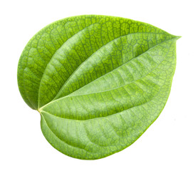 Fototapeta na wymiar betel leaves