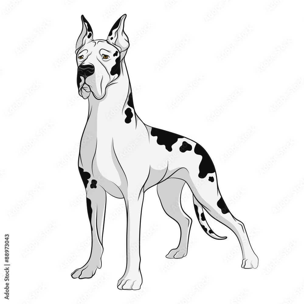 Poster vector drawing of dog. isolated objects on a white background.