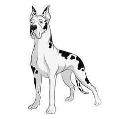 Vector drawing of dog. Isolated objects on a white background. 