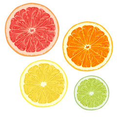 Fototapeta premium Set of color illustrations with citrus fruits. Isolated vector objects on a white background.