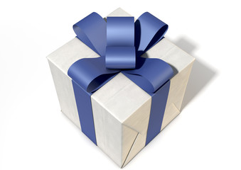 Wrapped Package With Bow