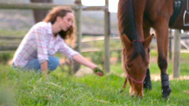 Woman sitting next to an eating horse