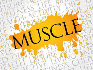 Muscle word cloud, health concept