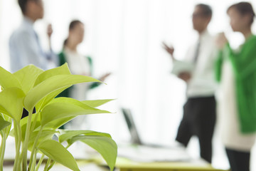 Men and women have a meeting to stand in the office