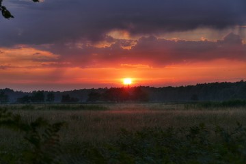 Obraz premium Romantische Abendstimmung in der Buchhorster Maase 