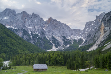 Fototapeta na wymiar Dolina Planicy,Słowenia,Alpy Julijskie