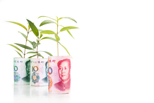 Concept of green plant grow on China Renminbi currency note