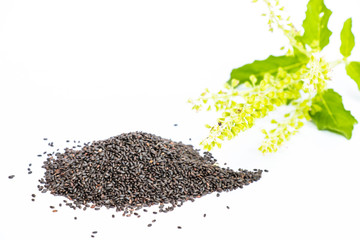 Gelatinous basil seeds for health