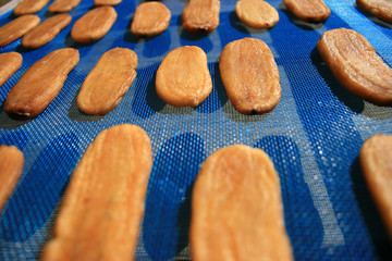 Dried banana on blue mesh