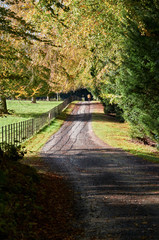 Wellington House Gardens.