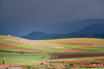 Fields of Sacred Valley of the Incas, Peru