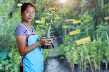 Woman with Desert Rose or Impala Lily,Isolated on white backgrou