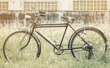 Fototapeta na wymiar Vintage Bicycle at garden fields with orange vintage tone and flare