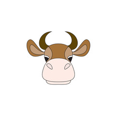 Cow on a white background