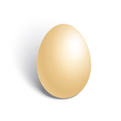 chicken egg on white background