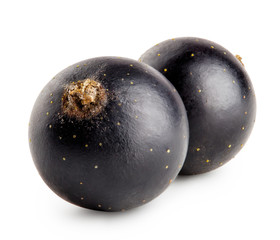 Two black currant