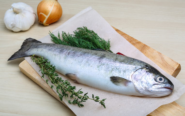 Raw trout