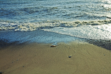 Sandy sea shore