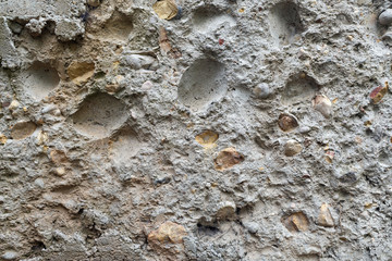 Coquina background