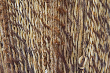 Detail einer Bongotrommel