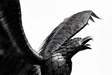 Crédence de cuisine en plexiglas Aigle Detail of metal sculpture of an eagle