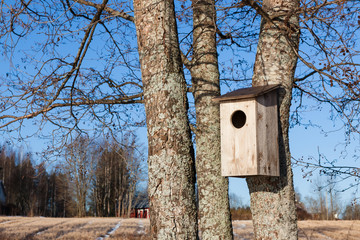 Waterfowl birdhouse on tree