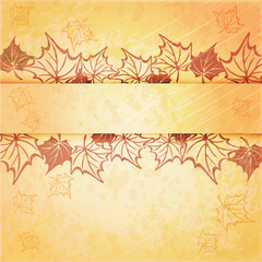 Autumn maple leaf vector frame with copy space on white