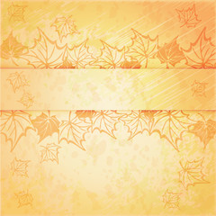 Background with maple autumn leaves